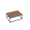 Ława kawowa do salonu loft z metalu i drewna 100x60x38 cm 