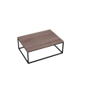 Ława kawowa do salonu loft z metalu i drewna 100x60x38 cm 