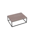 Ława kawowa do salonu loft z metalu i drewna 100x60x38 cm 