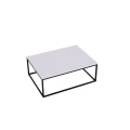 Ława kawowa do salonu loft z metalu i drewna 100x60x38 cm 